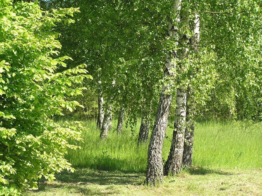 Wymoj Park Leilighet Stawiguda Eksteriør bilde